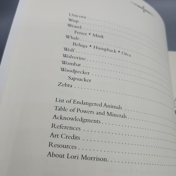 The Shaman's Guide to Power Animals by Lori Morrison Paperback - Picture 12 of 16